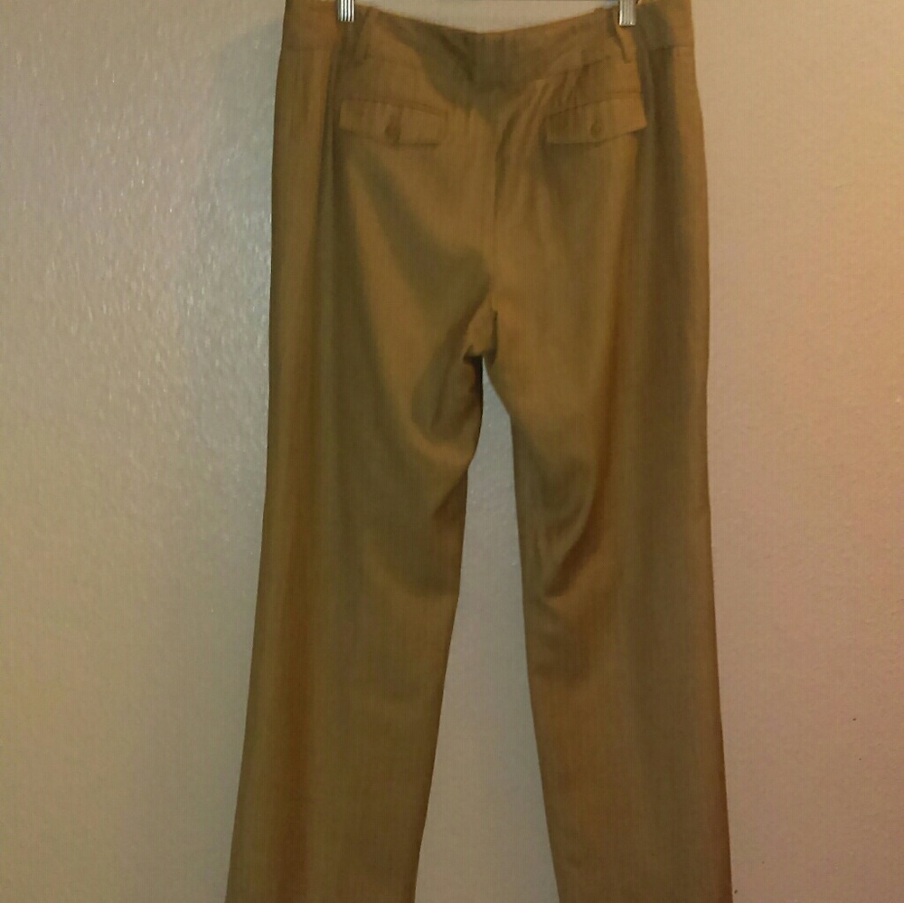Ann Taylor beige pants with linear pattern - Picture 3 of 3